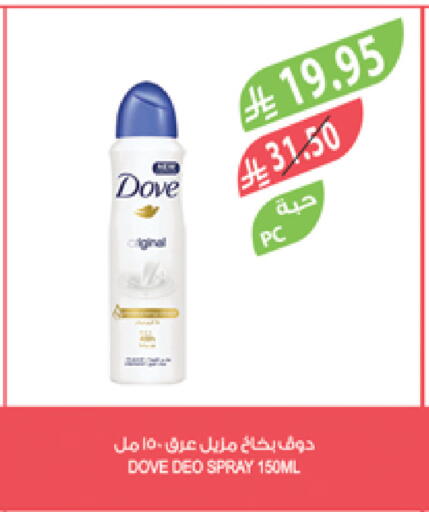 DOVE available at Farm  in KSA, Saudi Arabia, Saudi - Yanbu
