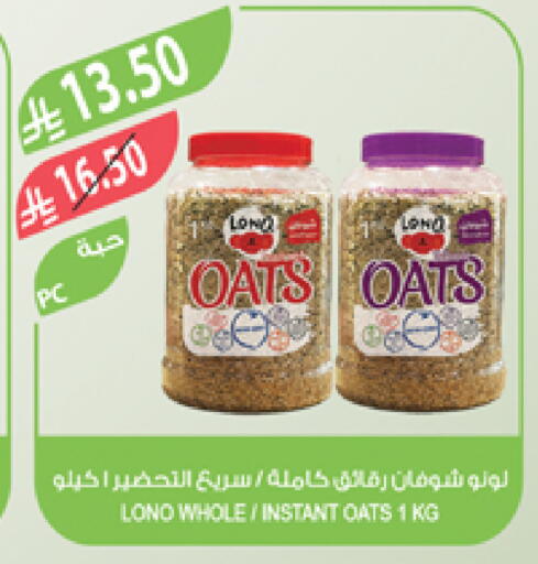 Oats available at Farm  in KSA, Saudi Arabia, Saudi - Khafji