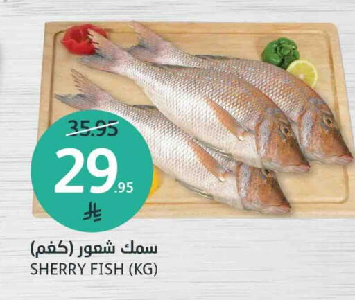 available at AlJazera Shopping Center in KSA, Saudi Arabia, Saudi - Riyadh