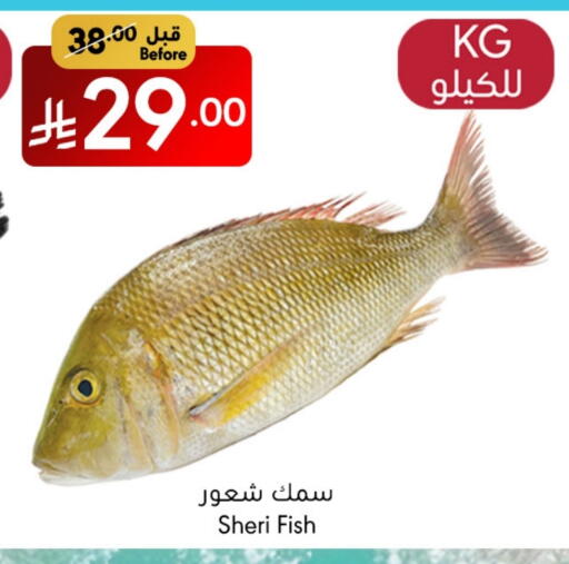 available at Manuel Market in KSA, Saudi Arabia, Saudi - Jeddah