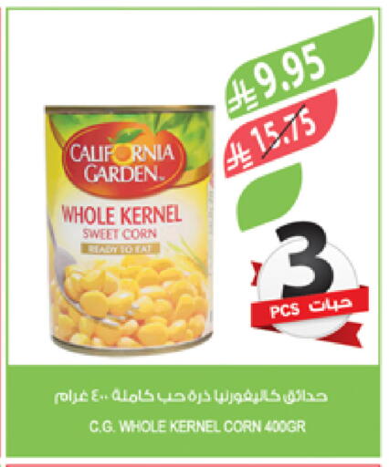 CALIFORNIA GARDEN available at Farm  in KSA, Saudi Arabia, Saudi - Qatif
