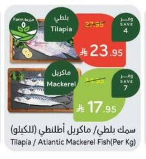 available at Hyper Panda in KSA, Saudi Arabia, Saudi - Jeddah