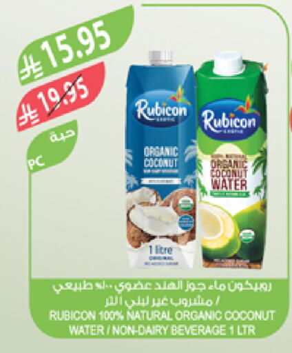 Coconut available at Farm  in KSA, Saudi Arabia, Saudi - Arar