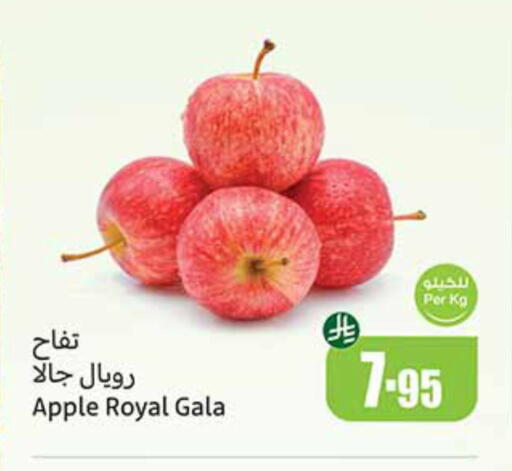 Apples available at Othaim Markets in KSA, Saudi Arabia, Saudi - Rafha