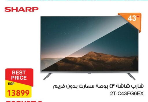 شارب تلفاز ذكي available at فتح الله in Egypt - القاهرة