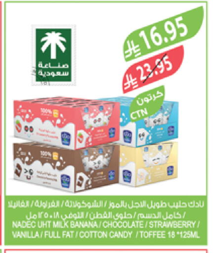 NADEC Flavoured Milk available at Farm  in KSA, Saudi Arabia, Saudi - Najran