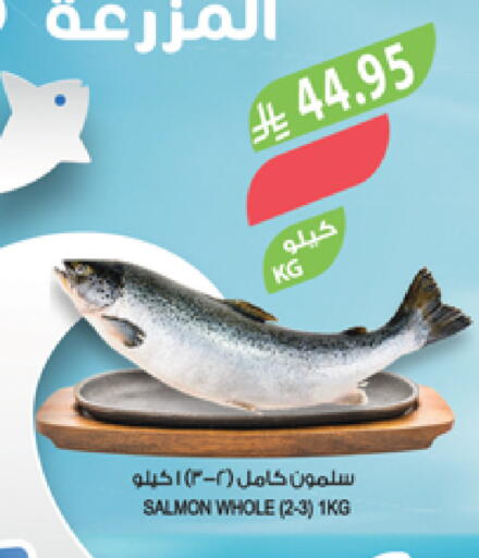 available at Farm  in KSA, Saudi Arabia, Saudi - Abha