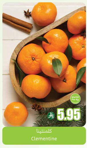 available at Othaim Markets in KSA, Saudi Arabia, Saudi - Rafha