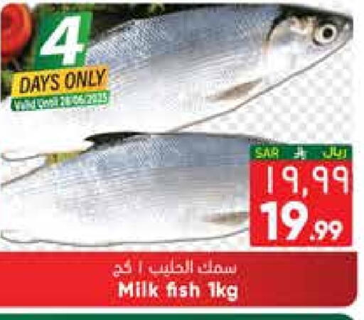 available at ستي فلاور in مملكة العربية السعودية, السعودية, سعودية - الجبيل‎