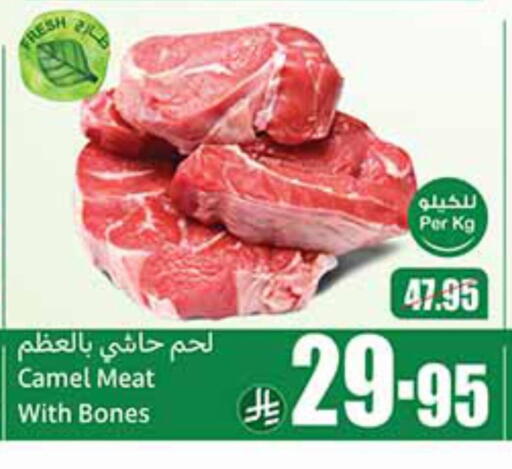 Camel meat available at Othaim Markets in KSA, Saudi Arabia, Saudi - Rafha