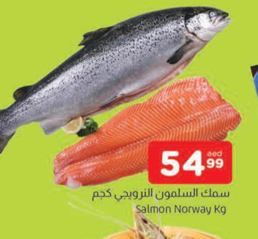 available at AL MADINA in UAE - Sharjah / Ajman
