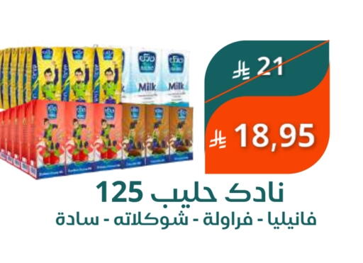 NADEC Flavoured Milk available at Saudi Market in KSA, Saudi Arabia, Saudi - Mecca