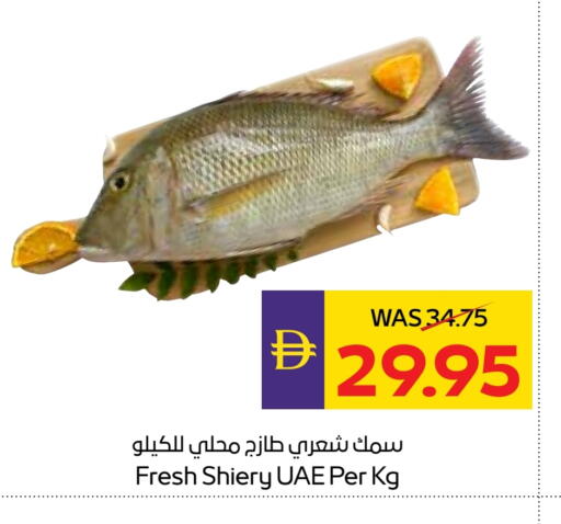 available at أدكووب in الإمارات العربية المتحدة , الامارات - ٱلْعَيْن‎