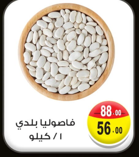 Beans available at Ghoneim Market   in Egypt - Cairo