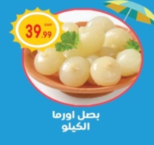 available at El mhallawy Sons in Egypt - Cairo