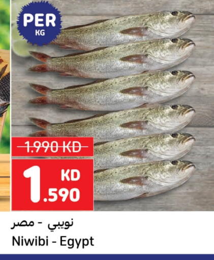 available at Carrefour in Kuwait - Kuwait City