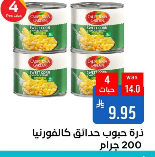 CALIFORNIA GARDEN available at Shubra AlTaif in KSA, Saudi Arabia, Saudi - Ta'if