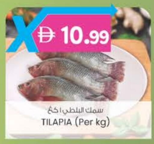 available at صفا هايبر in الإمارات العربية المتحدة , الامارات - ٱلْعَيْن‎