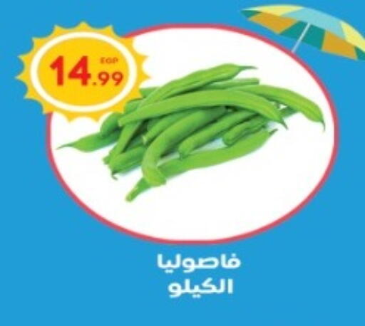 Beans available at El mhallawy Sons in Egypt - Cairo