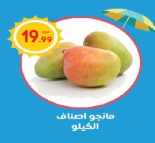 Mangoes available at El mhallawy Sons in Egypt - Cairo