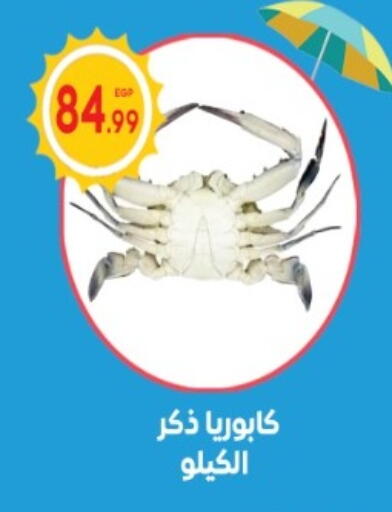 available at El mhallawy Sons in Egypt - Cairo