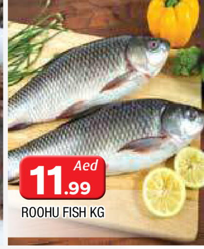 available at AL MADINA in UAE - Sharjah / Ajman