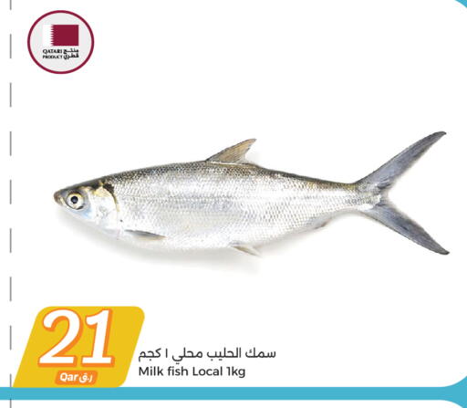 available at City Hypermarket in Qatar - Doha