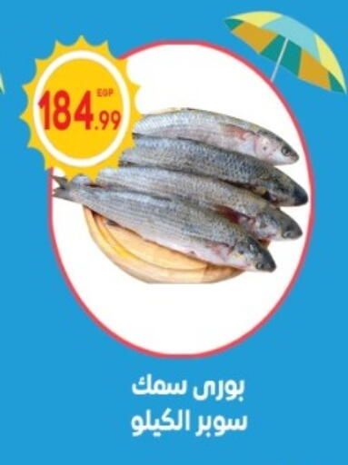 available at El mhallawy Sons in Egypt - Cairo