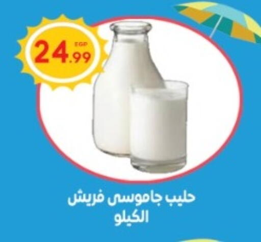 available at El mhallawy Sons in Egypt - Cairo