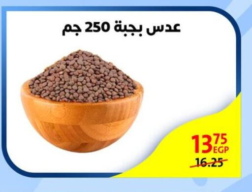 available at Arab DownTown in Egypt - Cairo
