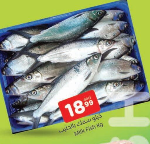 available at AL MADINA in UAE - Sharjah / Ajman