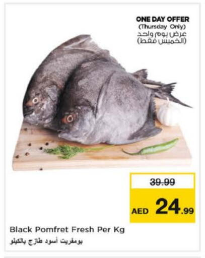 available at Nesto Hypermarket in UAE - Fujairah