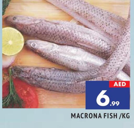 available at AL MADINA in UAE - Sharjah / Ajman