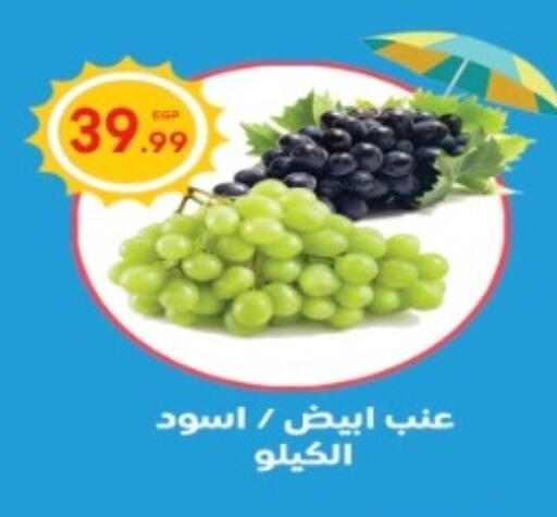 Grapes available at El mhallawy Sons in Egypt - Cairo