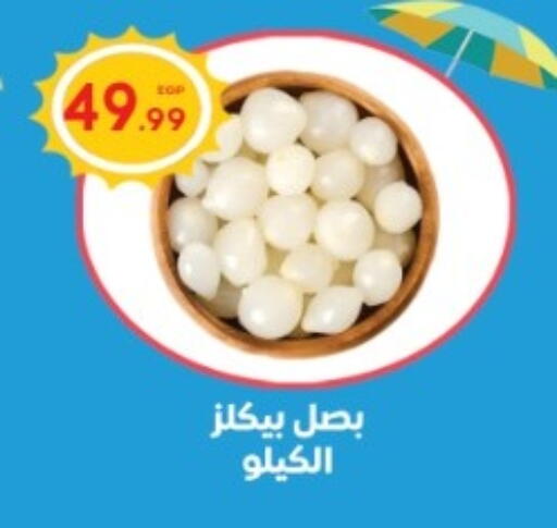 available at El mhallawy Sons in Egypt - Cairo
