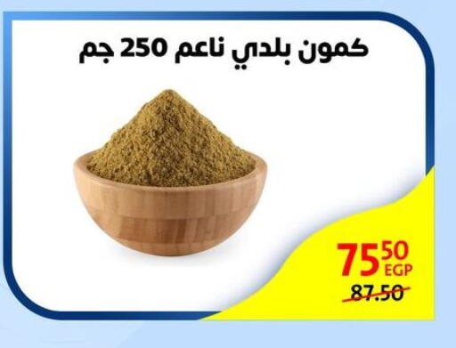 available at Arab DownTown in Egypt - Cairo