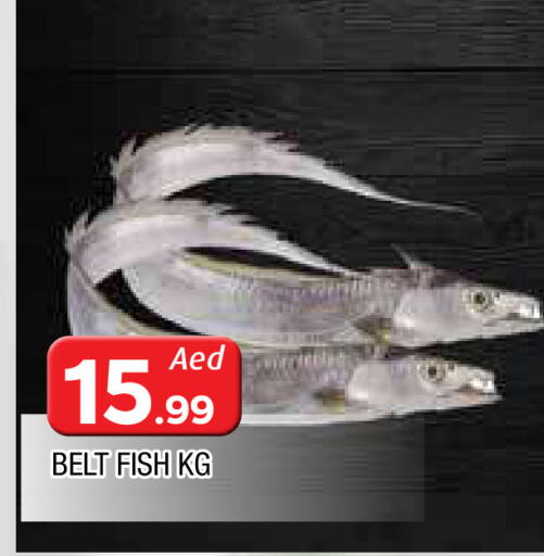 available at AL MADINA in UAE - Sharjah / Ajman