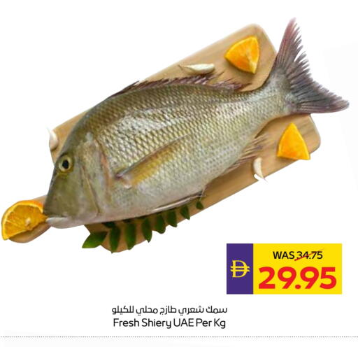 available at Megamart Supermarket  in UAE - Dubai