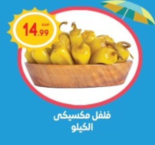 available at El mhallawy Sons in Egypt - Cairo