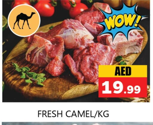 لحم حاشي available at سوق المبارك هايبرماركت in الإمارات العربية المتحدة , الامارات - الشارقة / عجمان