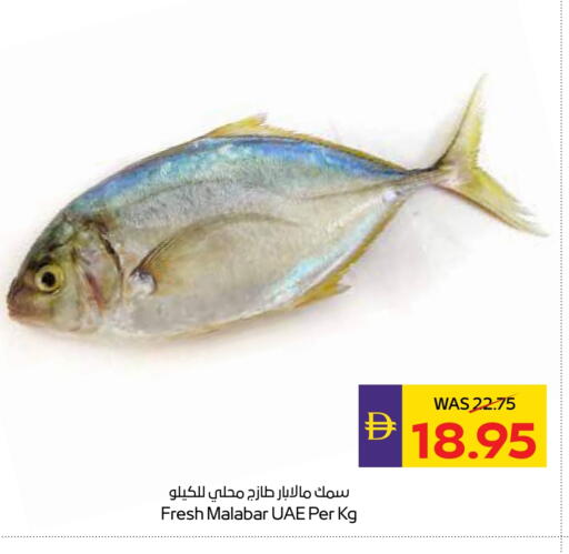 available at Megamart Supermarket  in UAE - Dubai