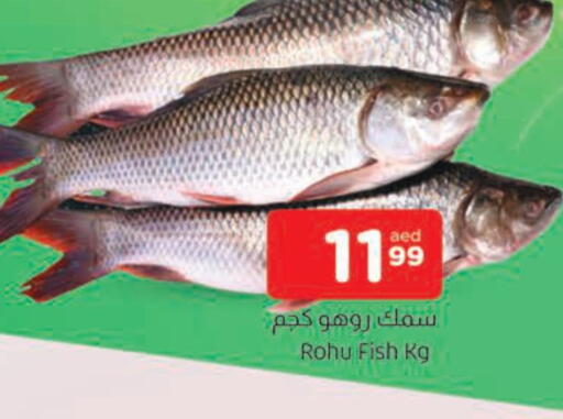 available at AL MADINA in UAE - Sharjah / Ajman