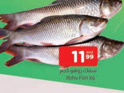 available at AL MADINA in UAE - Sharjah / Ajman