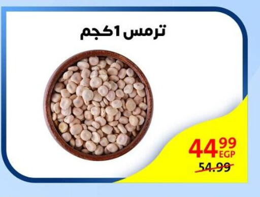 available at Arab DownTown in Egypt - Cairo