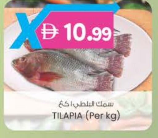 available at K M Trading  in UAE - Fujairah
