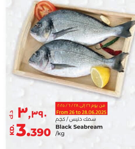 available at Lulu Hypermarket  in Kuwait - Ahmadi Governorate