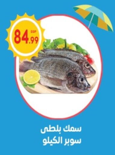 available at El mhallawy Sons in Egypt - Cairo