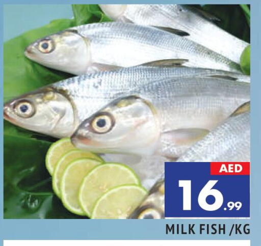 available at AL MADINA in UAE - Sharjah / Ajman