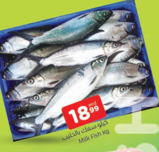 available at AL MADINA in UAE - Sharjah / Ajman