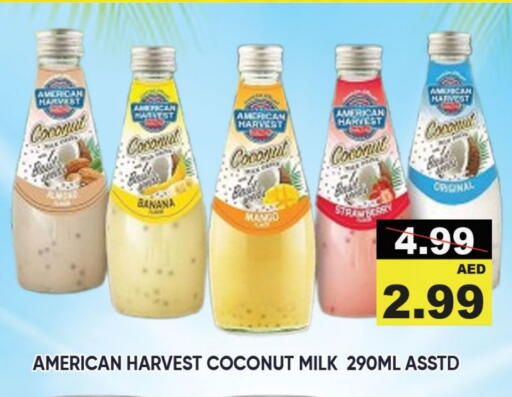 Flavoured Milk available at Leptis Hypermarket  in UAE - Umm al Quwain